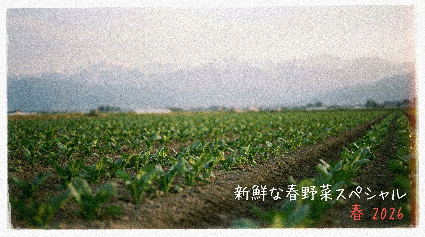 春の採れたて野菜特集